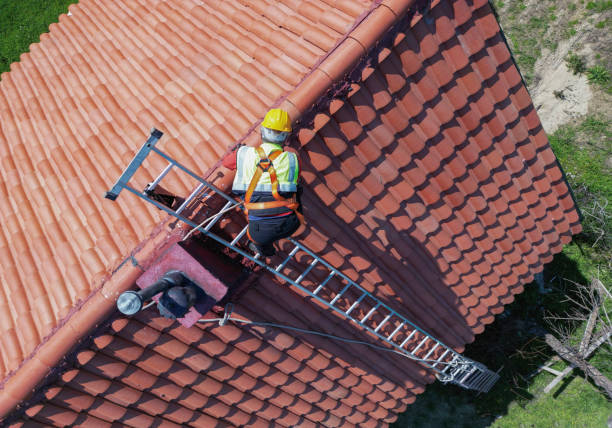 Best Roof Moss and Algae Removal  in Piketon, OH